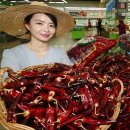 해리농협 하나로마트 연합뉴스