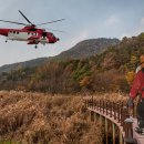 무릉도원면-31 이미지