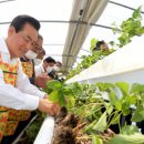 백성현 농장 이미지