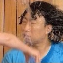 해바라기 애견 이미지