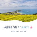 더몽상드 | 4월 제주 여행 코스 BEST 7 🌸 유채꽃과 초록이 가장 예쁜 계절