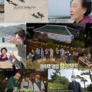 오늘은바다