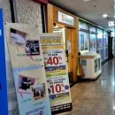 마리앤쥬 이미지