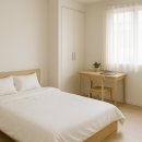 요즘자취필수템 이미지