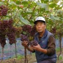 유신농장 이미지