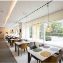 감선호취 이미지