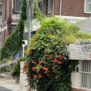 별밤PC | [성수 셀프사진관] 인더무드성수 리뉴얼 방문기/ 서울 셀프사진관 데이트코스 추천