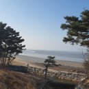 국립무의도자연휴양림 이미지