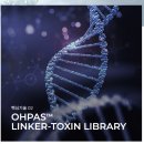 라디안소프트 이미지