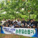옥천군청 이미지