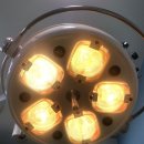 온마음 동물메디컬센터 이미지