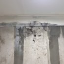 광주010 | 광주 도배 전문 '인테리어친구' 비닐보양부터 석고보드 교체까지 누수 도배 완벽 해결 후기