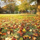 금성유치원 이미지