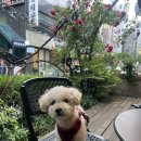 26년, 6월 일상(1)