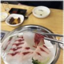 속초오징어어시장 안산고잔점 이미지