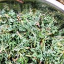 서기농장 이미지