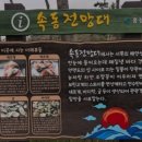 속동전망대 티스토리