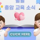 충암초등학교 이미지