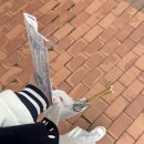 우남닭꼬치