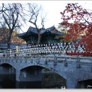 마곡사1 이미지