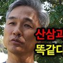 대한인삼