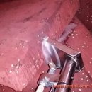 부산세탁마트 이미지