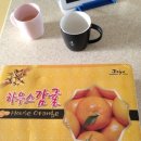 대강점빵 | 태리네점빵 제주도 하우스 귤!! 여름귤!!