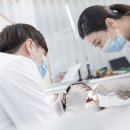 신장치과 네이버블로그