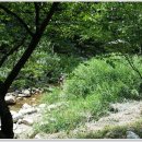 세월낚시터 이미지