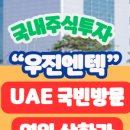 씨아이엔텍