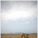 마검포해수욕장 이미지