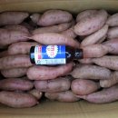 고구마판매합니다