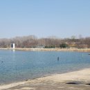 개나리길 이미지