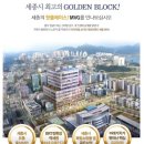 세종MVG 이미지
