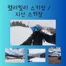 서동로6길 | X5 시즌권 스키장 투어 (?) 웰리힐리, 지산 스키장