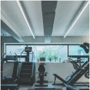 이볼브 트레이닝 이미지