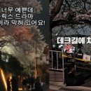 [질문하는학교] 우리 지역 작가시리즈: 마을이 세계를 구한다 | 1년을 기다린 벚꽃 명소에서 결국 쫓겨났다 넷플릭스 뷰티 인 더 비스트 촬영장 민폐 논란의 전말