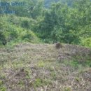 원달보건진료소 이미지