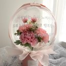 파티라슈 이미지