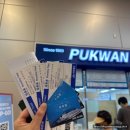 지에스25 다산리코빌점 | 배타고 시모노세키항까지! 성희호 탑승 준비부터 도착까지 가보자, 배타고 일본가는 꿀팁 TNT여객 후기!