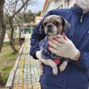 GS 25 양덕대림점 이미지