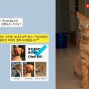 마리엘피규어