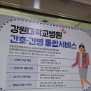 강원대학교병원 이미지