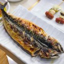 풍차와전복 티스토리