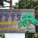 솔향공원 소나무전시관 이미지