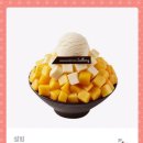 별빛하루 이미지