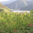 구아바 연구회