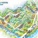 숲속의어린이집 | [자연휴양림] [공립] 가평 강씨봉자연휴양림 숲속의집 노을 객실 상세후기♥ +)계곡(물놀이장)