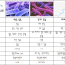 [노원질염치료한의원]질염 아직도 산부인과 가시나요? 이미지