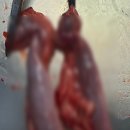 허그동물의료센터 이미지